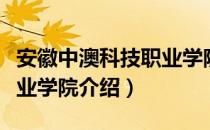 安徽中澳科技职业学院（关于安徽中澳科技职业学院介绍）