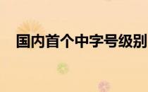 国内首个中字号级别的专业赛车电竞赛事