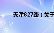 天津827路（关于天津827路简介）