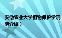 安徽农业大学植物保护学院（关于安徽农业大学植物保护学院介绍）