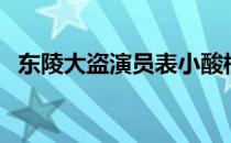 东陵大盗演员表小酸梅（东陵大盗演员表）