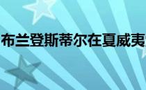 布兰登斯蒂尔在夏威夷索尼公开赛上大放异彩