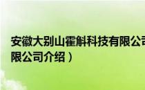 安徽大别山霍斛科技有限公司（关于安徽大别山霍斛科技有限公司介绍）