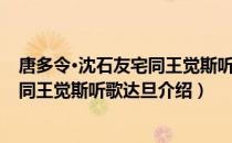 唐多令·沈石友宅同王觉斯听歌达旦（关于唐多令·沈石友宅同王觉斯听歌达旦介绍）