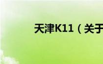 天津K11（关于天津K11简介）