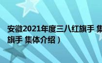 安徽2021年度三八红旗手 集体（关于安徽2021年度三八红旗手 集体介绍）