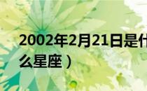 2002年2月21日是什么星座（2月21日是什么星座）