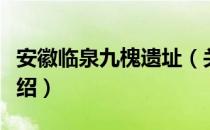 安徽临泉九槐遗址（关于安徽临泉九槐遗址介绍）