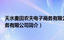 天水麦田农夫电子商务有限公司（关于天水麦田农夫电子商务有限公司简介）