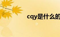 cqy是什么的缩写（cqy）