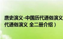 唐史演义-中国历代通俗演义 全二册（关于唐史演义-中国历代通俗演义 全二册介绍）