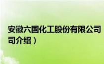 安徽六国化工股份有限公司（关于安徽六国化工股份有限公司介绍）