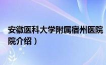 安徽医科大学附属宿州医院（关于安徽医科大学附属宿州医院介绍）