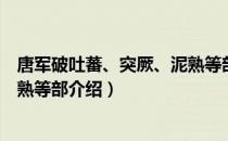 唐军破吐蕃、突厥、泥熟等部（关于唐军破吐蕃、突厥、泥熟等部介绍）