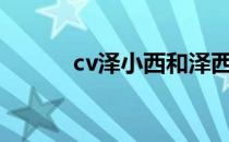 cv泽小西和泽西锅（相泽纯菜）