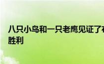 八只小鸟和一只老鹰见证了布兰登格雷斯在南非公开赛上的胜利