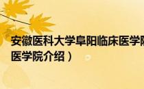 安徽医科大学阜阳临床医学院（关于安徽医科大学阜阳临床医学院介绍）