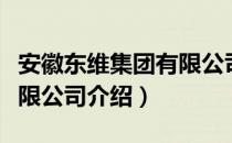 安徽东维集团有限公司（关于安徽东维集团有限公司介绍）