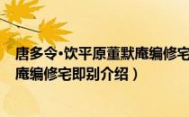 唐多令·饮平原董默庵编修宅即别（关于唐多令·饮平原董默庵编修宅即别介绍）