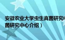 安徽农业大学虫生真菌研究中心（关于安徽农业大学虫生真菌研究中心介绍）