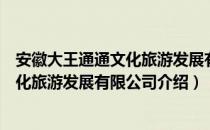 安徽大王通通文化旅游发展有限公司（关于安徽大王通通文化旅游发展有限公司介绍）