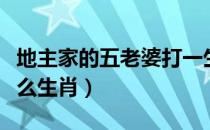 地主家的五老婆打一生肖（地主家中四老婆什么生肖）