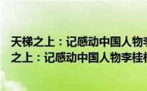 天梯之上：记感动中国人物李桂林和陆建芬夫妇（关于天梯之上：记感动中国人物李桂林和陆建芬夫妇简介）