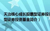 天治核心成长股票型证券投资基金（关于天治核心成长股票型证券投资基金简介）