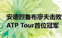 安德烈鲁布廖夫击败科伦丁穆特成为2020年ATP Tour首位冠军