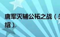 唐军灭辅公祏之战（关于唐军灭辅公祏之战介绍）