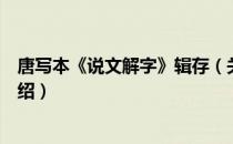 唐写本《说文解字》辑存（关于唐写本《说文解字》辑存介绍）