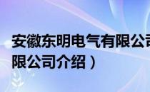 安徽东明电气有限公司（关于安徽东明电气有限公司介绍）