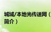 城域/本地光传送网（关于城域/本地光传送网简介）