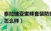 泰拉瑞亚蜜蜂套装防御力（泰拉瑞亚蜜蜂套装怎么样）