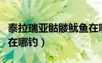 泰拉瑞亚骷髅鱿鱼在哪里钓（泰拉瑞亚骷髅鱼在哪钓）