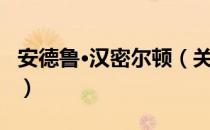 安德鲁·汉密尔顿（关于安德鲁·汉密尔顿介绍）