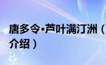 唐多令·芦叶满汀洲（关于唐多令·芦叶满汀洲介绍）