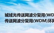 城域光传送网波分复用(WDM)环网技术要求（关于城域光传送网波分复用(WDM)环网技术要求简介）