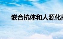 嵌合抗体和人源化抗体（人源化抗体）