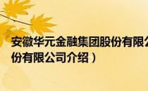 安徽华元金融集团股份有限公司（关于安徽华元金融集团股份有限公司介绍）