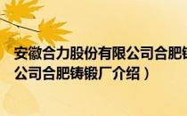 安徽合力股份有限公司合肥铸锻厂（关于安徽合力股份有限公司合肥铸锻厂介绍）