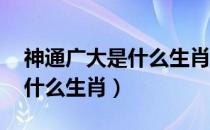 神通广大是什么生肖,最佳答案（神通广大是什么生肖）