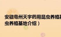 安徽亳州天宇药用昆虫养殖基地（关于安徽亳州天宇药用昆虫养殖基地介绍）