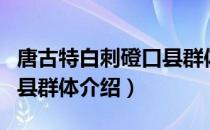 唐古特白刺磴口县群体（关于唐古特白刺磴口县群体介绍）