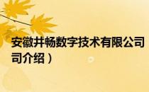 安徽井畅数字技术有限公司（关于安徽井畅数字技术有限公司介绍）