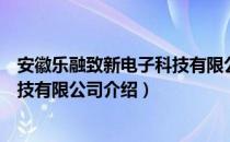 安徽乐融致新电子科技有限公司（关于安徽乐融致新电子科技有限公司介绍）