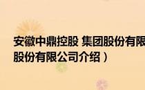 安徽中鼎控股 集团股份有限公司（关于安徽中鼎控股 集团股份有限公司介绍）