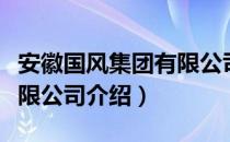 安徽国风集团有限公司（关于安徽国风集团有限公司介绍）