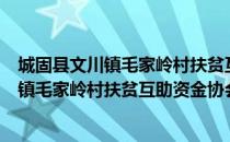 城固县文川镇毛家岭村扶贫互助资金协会（关于城固县文川镇毛家岭村扶贫互助资金协会简介）