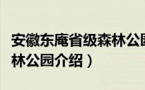 安徽东庵省级森林公园（关于安徽东庵省级森林公园介绍）